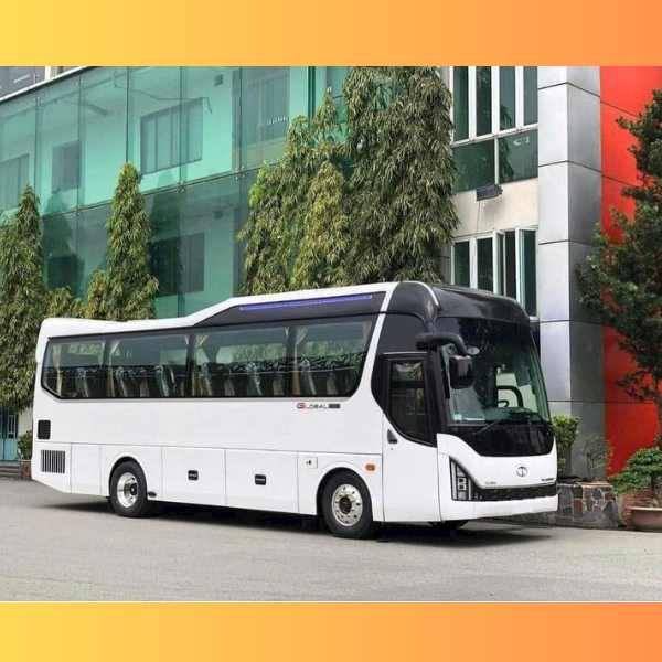 HYUNDAI COUNTY